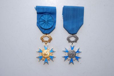 deux médailles et une médaille sont posées sur une surface blanche