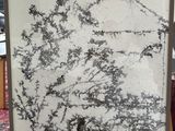 a black and white picture of a tree in a frame