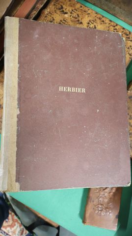 HERBIER des Ecoles: Plantes agricoles médicinales et industrielle...