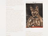 une page sur laquelle figure la photo d'un chat