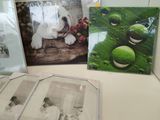 a picture of a picture of a frog and a picture of a frog and a picture of a frog and a picture of a frog and a frog
