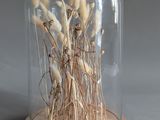 a glass clochet with dried plants inside of it