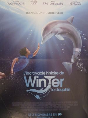 affiche du film « L'hiver du dauphin », représentant un dauphin bondissant hors de l'eau