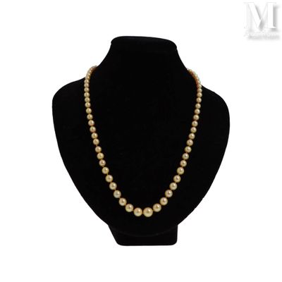 a close up of a necklace with pearls on a mannequin