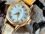 a gold wrist watch sitting on top of a pile of pine cones