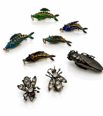 Plusieurs insectes de différentes couleurs sont disposés en cercle sur une surface blanche