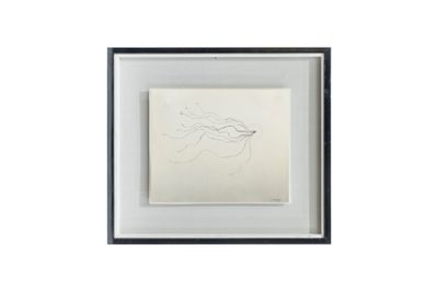 une image représentant un dessin de cheval dans un cadre noir