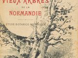 un vieux livre avec le dessin d'un arbre en arrière-plan