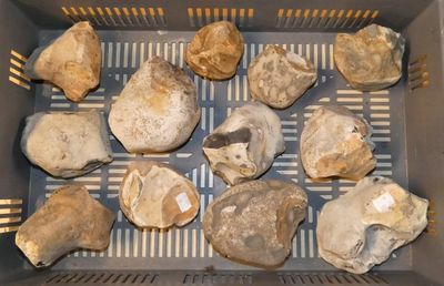 beaucoup de cailloux qui se trouvent dans une boîte