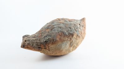 un petit oiseau perché sur une surface blanche