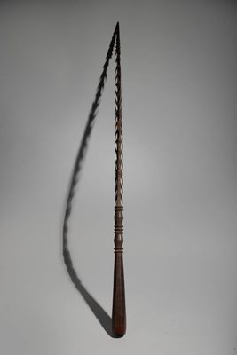 a long stick with a long tail on a white surface
