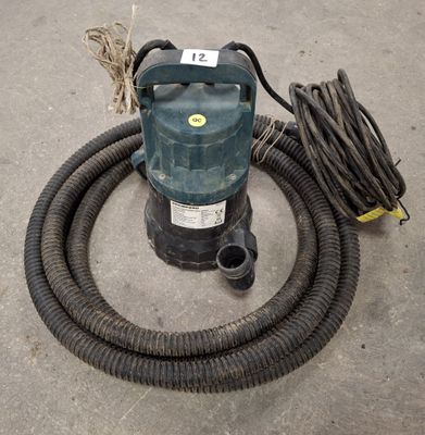 Pompe d'évacuation eaux claires FPCWP250 - Photo 1