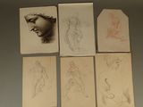 six dessins représentant le visage d'une femme et la tête d'une femme sur un mur