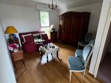 a living room with a couch, chair, and a dog in it
