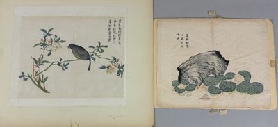 an old book with a picture of a bird sitting on a tree branch