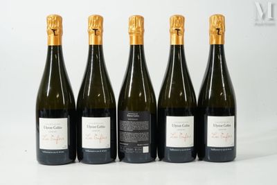 six bouteilles de vin sont alignées sur une surface blanche