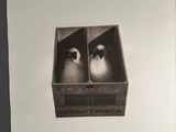 a picture of two penguins in a box on a table