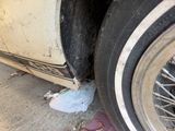 a bird sitting on the ground next to a car tire