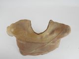 an image of a piece of clay on a white surface
