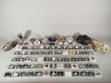 a lot of rocks and stones on the table
