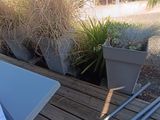une table sur laquelle sont disposées plusieurs plantes
