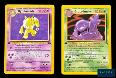 deux cartes Pokémon présentant des motifs différents sur un fond noir