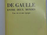 the cover of the book is yellow and has black writing on it