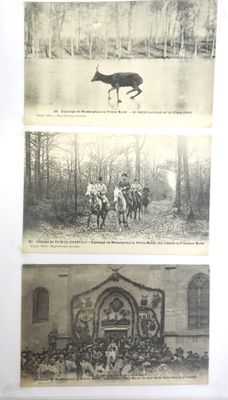 trois vieilles photos en noir et blanc représentant des chevaux et des personnes dans une forêt