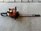 an orange and black hedger sitting on the ground next to a sidewalk