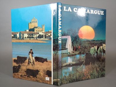 couverture d'un livre représentant un homme à cheval devant un lac et un château