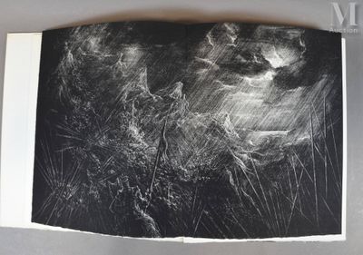 une photo en noir et blanc d'un chat sous la pluie