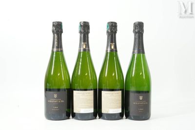 trois bouteilles de vin posées les unes à côté des autres sur une surface blanche