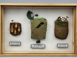 une photo d'une vitrine contenant trois objets différents