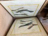 an image of a person holding a picture of birds in a box