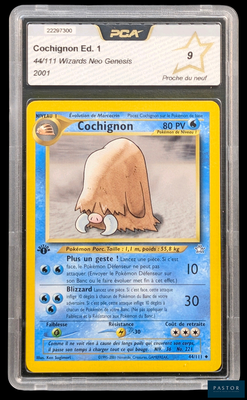 un gros plan d'une carte Pokémon sur laquelle figure l'image d'un ours