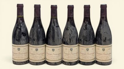 six bouteilles de vin sont alignées sur une surface blanche