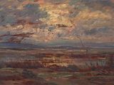 an oil painting of a cloudy sky over a field with a bird flying in the sky