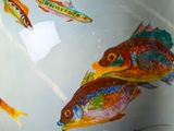 a bowl with fish painted on it sitting on a table