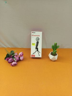 a small plant that is sitting next to a microphone