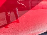 a man standing in front of a car with a snake on it ' s back