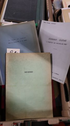Mémoires de maitrise : 10 tapuscrits. Johnny Guitar   ‘’l’enfer d...