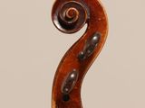 a close up of the back of a violin with a scroll