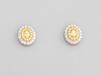 a pair of yellow and white diamond earrings