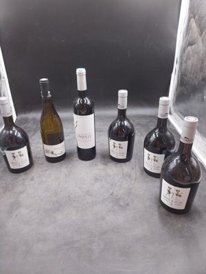 Plusieurs bouteilles de vin sont alignées en cercle sur un comptoir