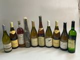 Des bouteilles de vin sont alignées sur une surface blanche