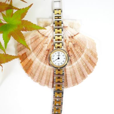 a watch sitting on top of a shell next to a plant