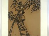 drawing of a man climbing a ladder to pick leaves off a tree