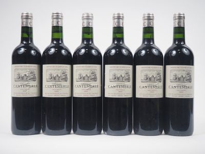 six bouteilles de vin sont alignées sur une surface blanche
