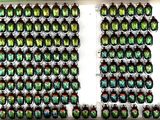many green beetles in a display case