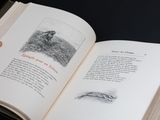 a person holding a book with a drawing on it